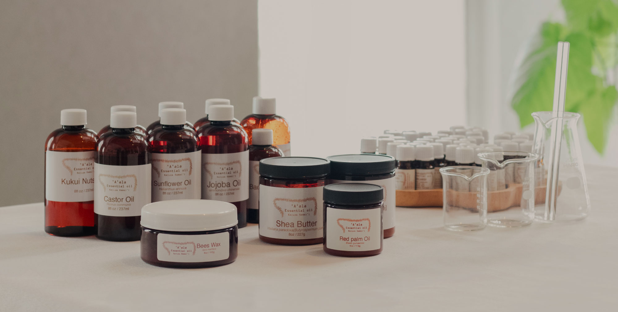 Kapilina ハワイアンセラピー プライベートサロン&スクール