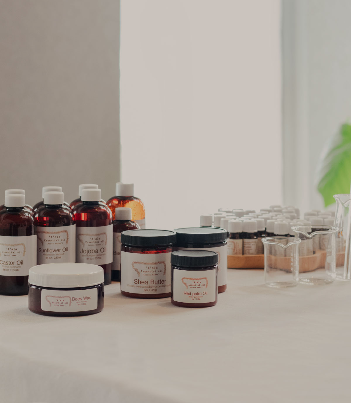 Kapilina ハワイアンセラピー プライベートサロン&スクール