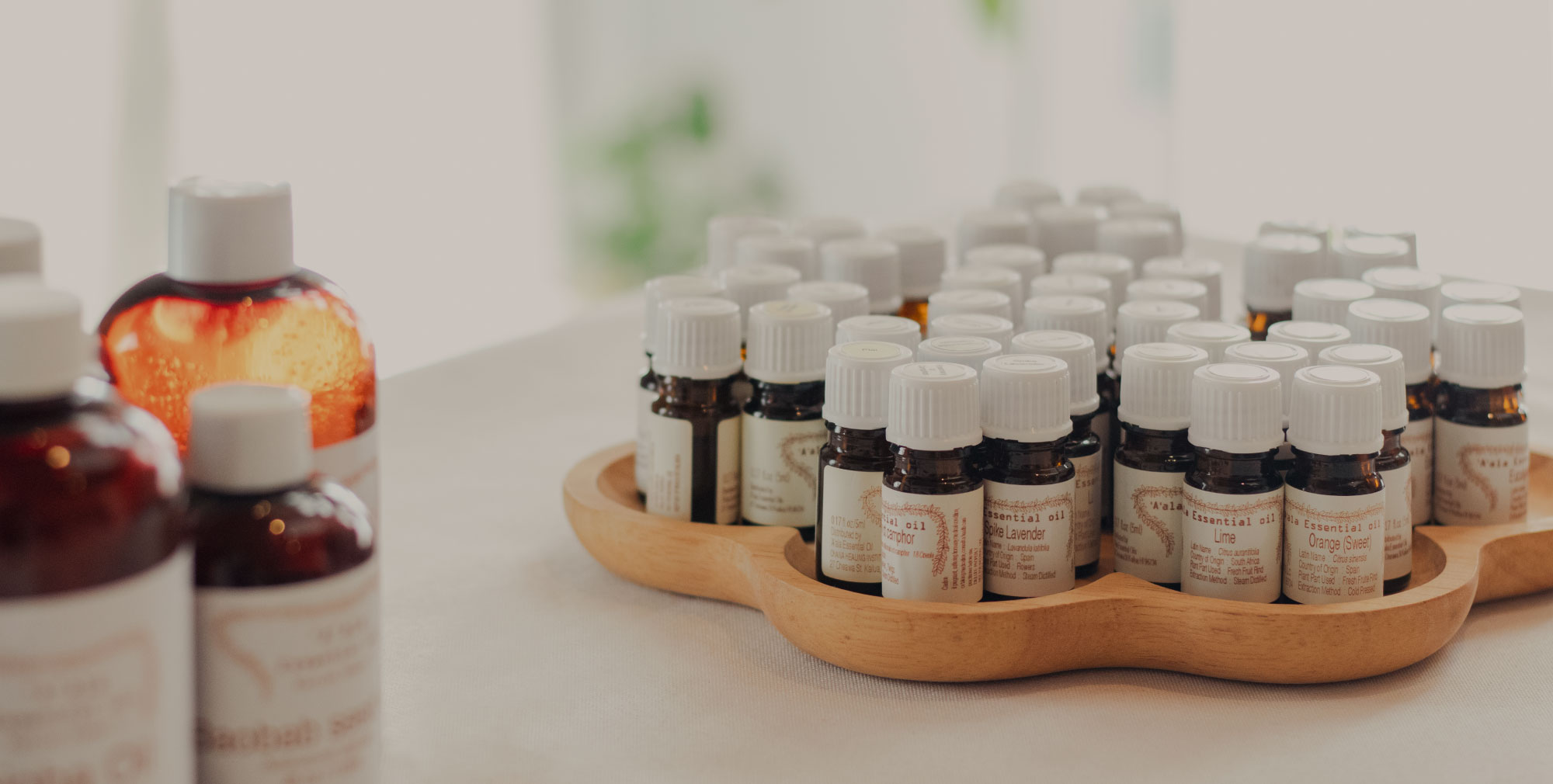 Kapilina ハワイアンセラピー プライベートサロン&スクール