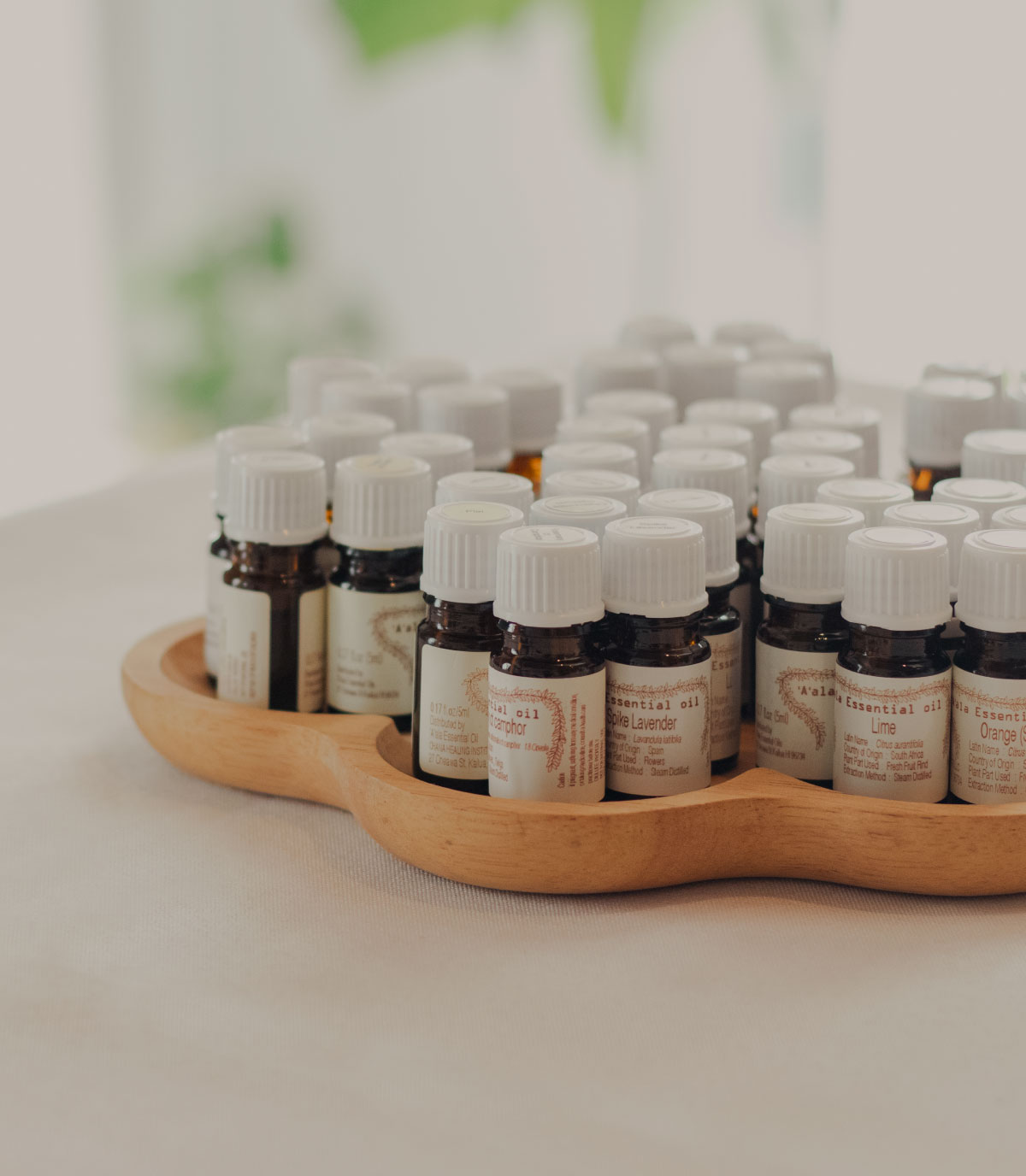 Kapilina ハワイアンセラピー プライベートサロン&スクール